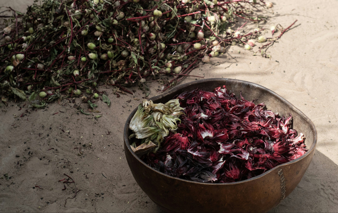 African hibiscus — hero ingredient in the Calm Cleanser